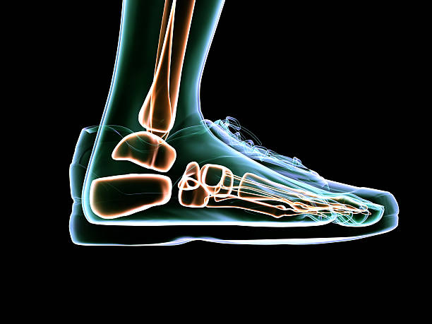 Why the Right Shoes Matter More Than You Think