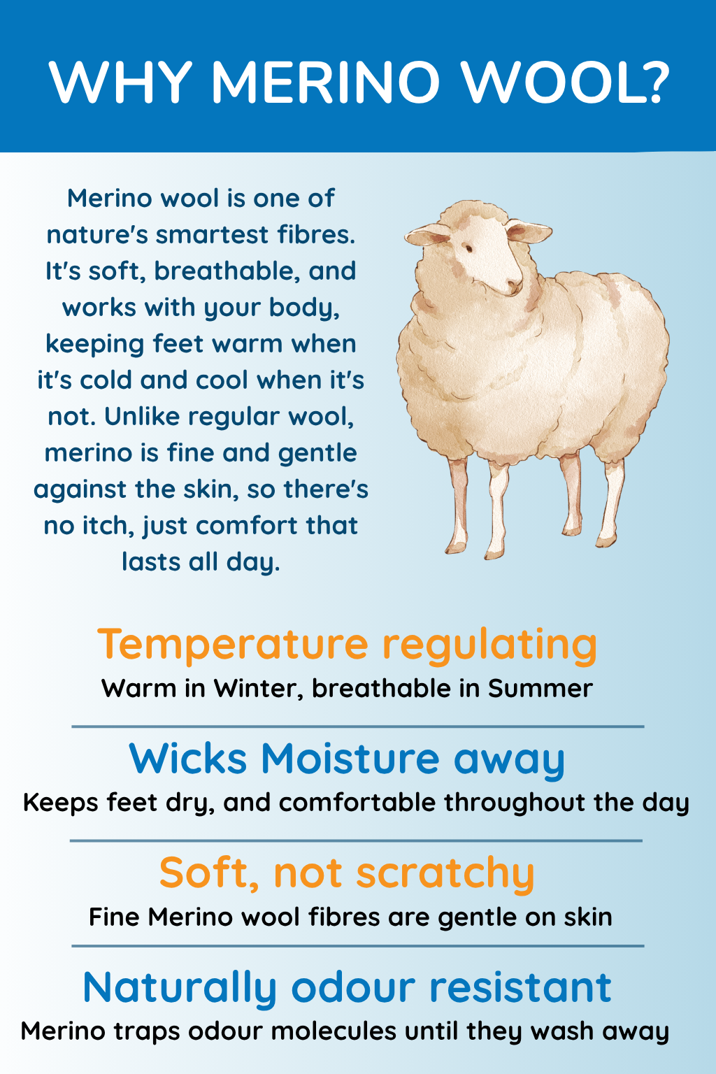 Merino Wool Diabetic Friendly Socks | Crew Length